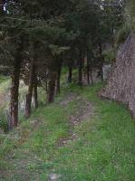 18 - Viale di arrivo al Castello 